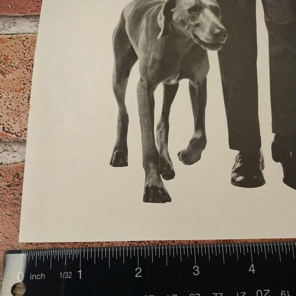 1961 Hart Schaffner & Marx Suit Man Walking Dog "Public Figure" Vtg B&W PRINT AD - Picture 5 of 10